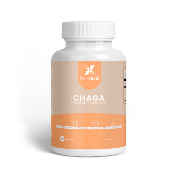 chaga