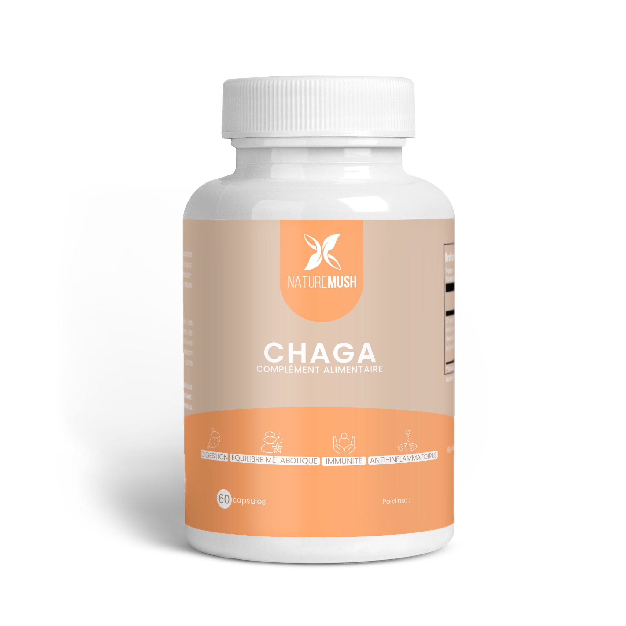 chaga