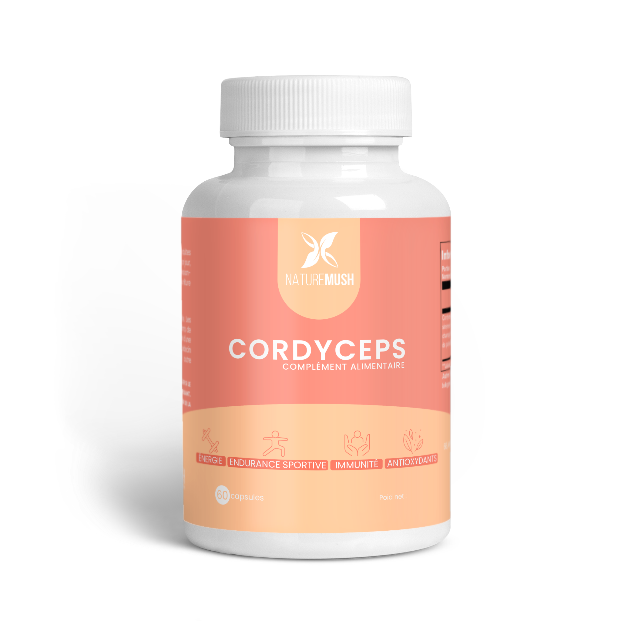 cordyceps