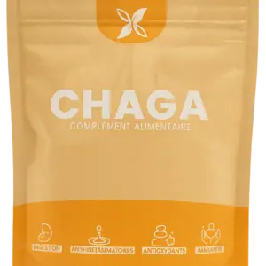Chaga : Armure Naturelle